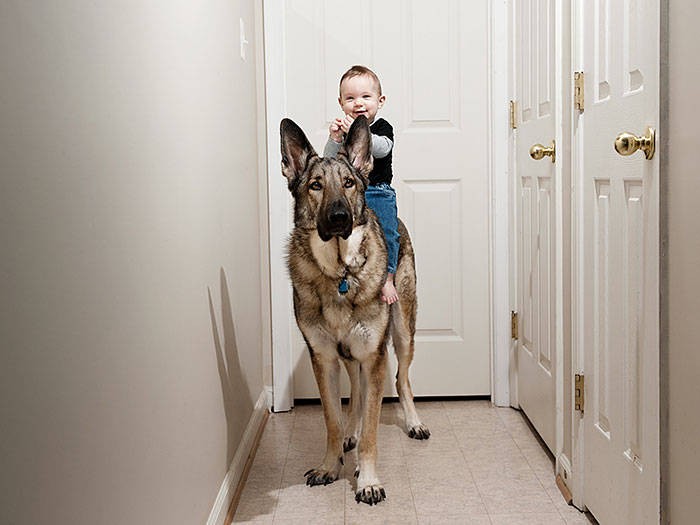 18 шикарных снимков детей с большими собаками. Еще неизвестно, кто из них хозяин...