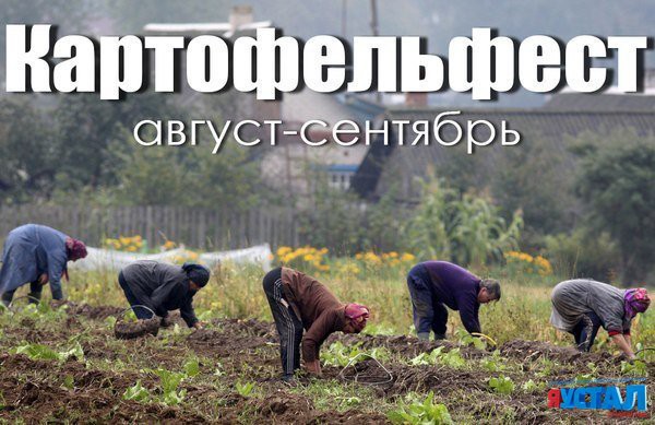 Смешные и забавные картинки с надписями, которые поднимут вам настроение!