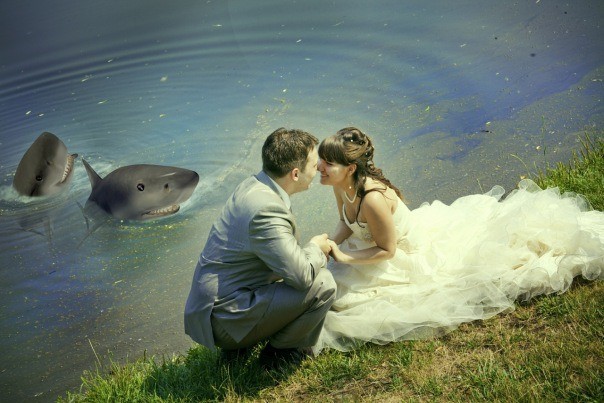 Ох, эти безумные фото со свадеб. Руки бы оторвать этим фотографам!