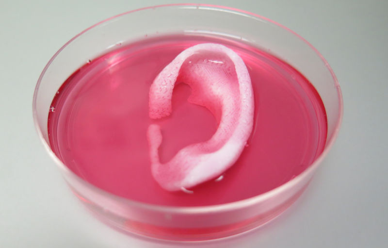 Теперь человеческие уши будут печатать на 3D принтере!