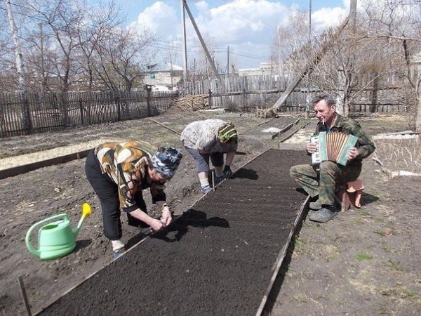 Самые разнообразные прелести дачного сезона!