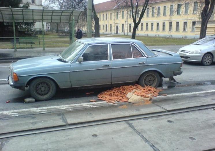 Жадность не знает предела