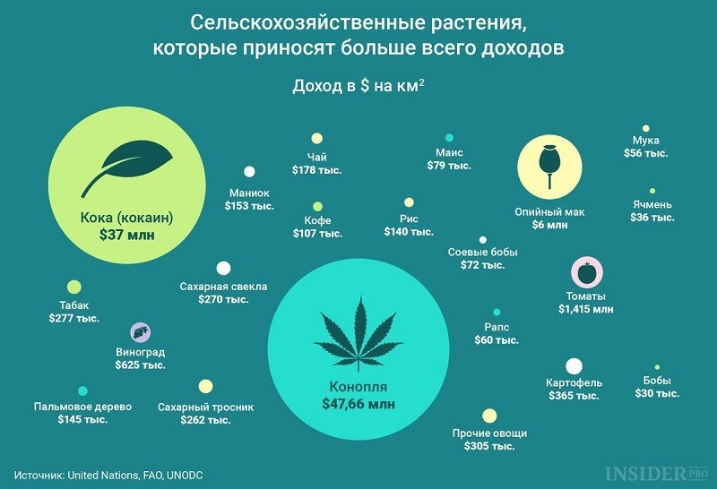 Это очень интересно посмотреть и узнать!