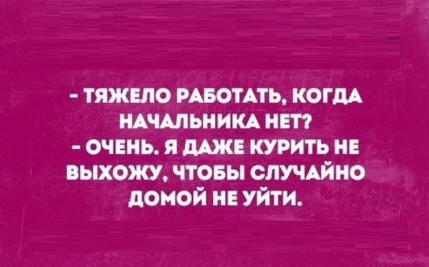 Когда твой начальник ужасен и вы его ненавидите, тогда этот пост для вас!