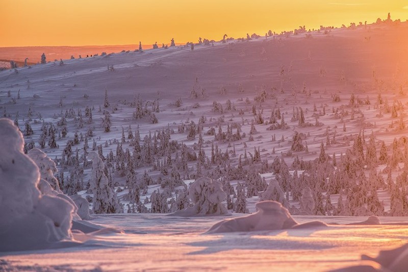 25 причин, почему Лапландия - самое волшебное место для празднования Нового Года и Рождества