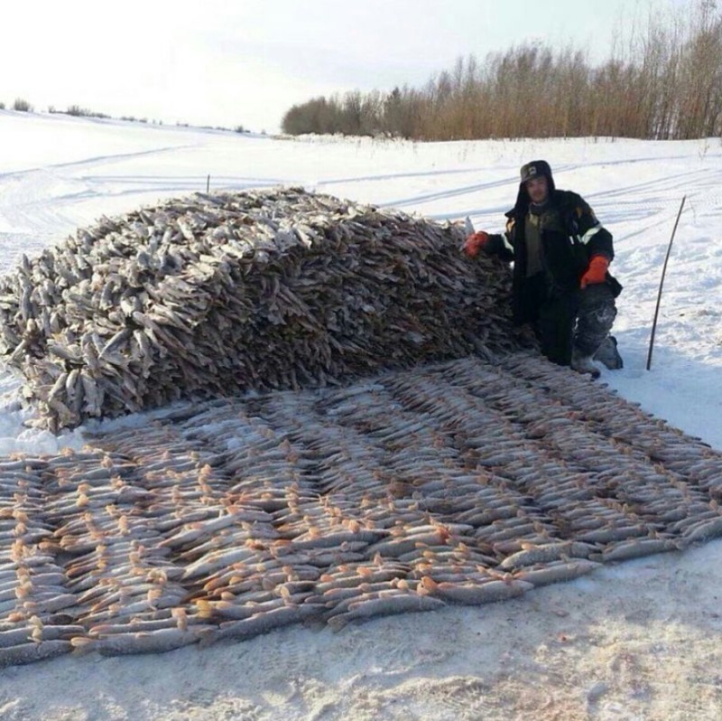 Непередаваемая красота и романтика зимней рыбалки