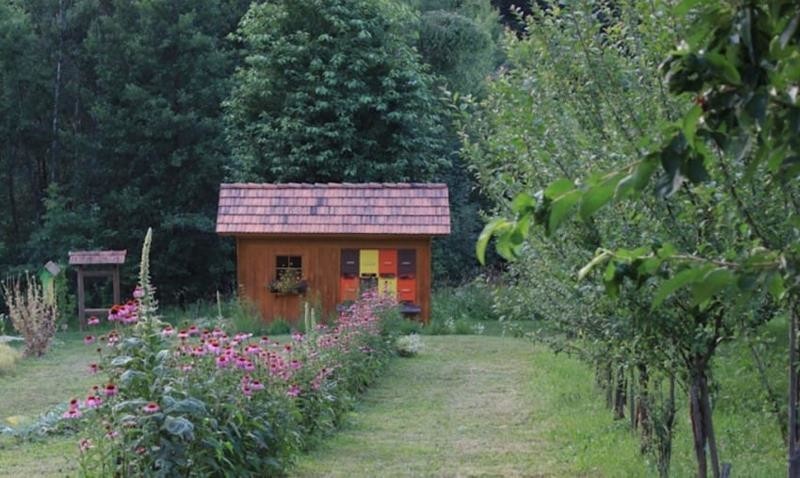Этот холм в Словении скрывает в себе волшебный домик хоббита