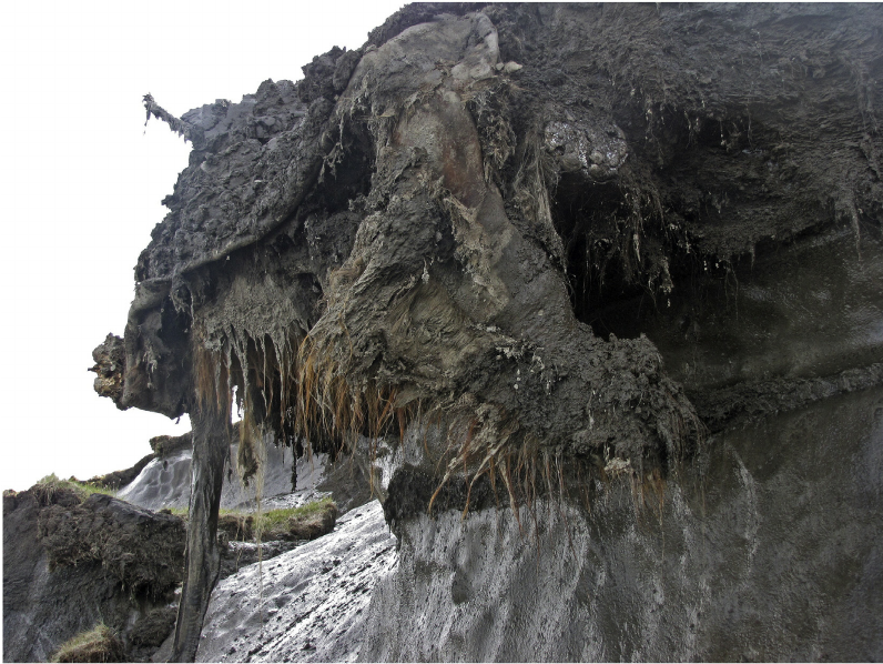 Мамонтенок Юка возрастом 39 тысяч лет
