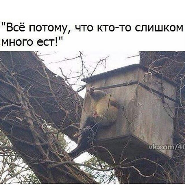 Не забываем скоро весна!!!