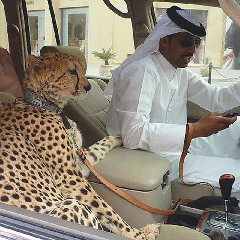 15 не таких уж радужных фактов о Дубае