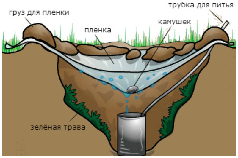 А что вы будете делать попав на необитаемый остров?