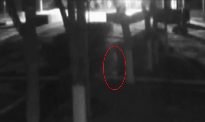 Под Витебском камеры видеонаблюдения засняли необычный феномен. Призрак человека?