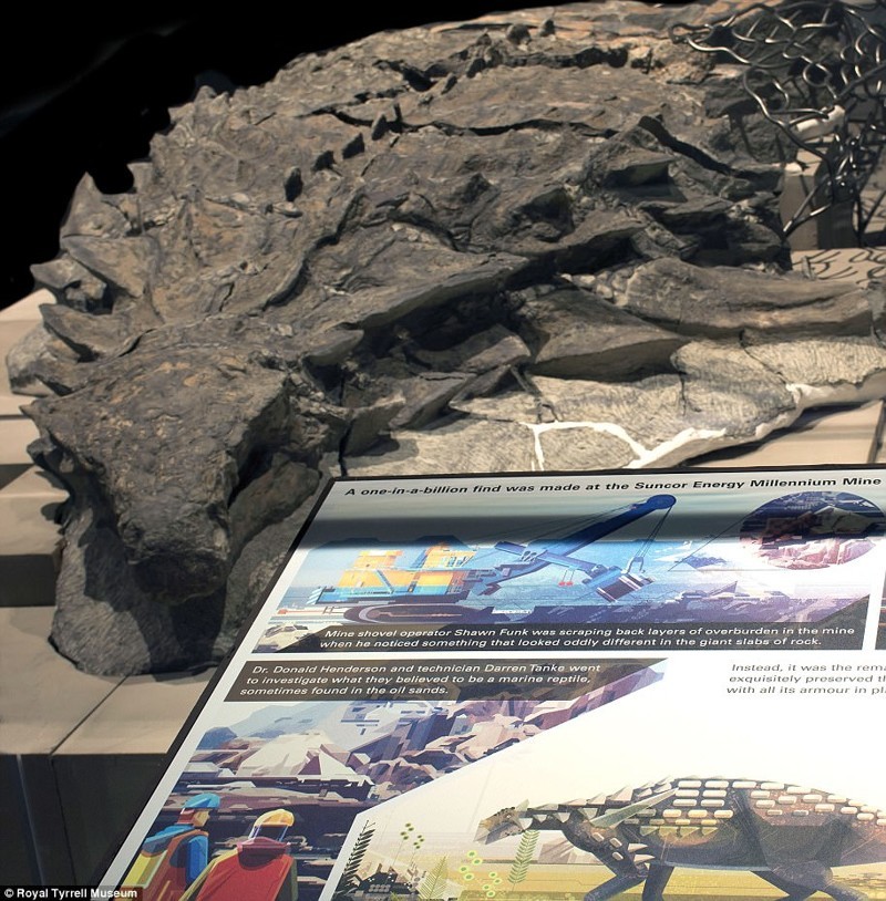 Эта 110-миллионолетняя окаменелость динозавра выглядит как статуя