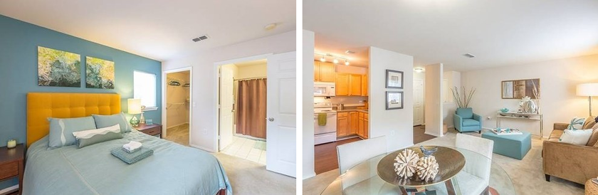 Большая разница: как выглядят квартиры за $1000 в разных уголках США