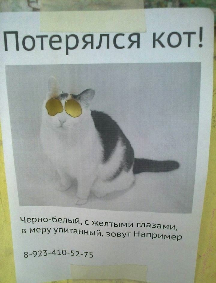 Кто ищет, тот всегда найдет