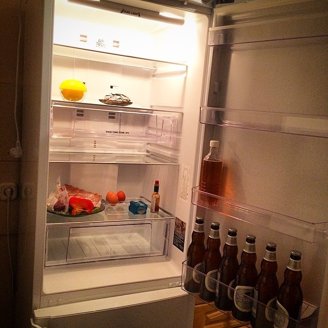 Вот что бывает, если оставить мужика наедине с холодильником всего на недельку