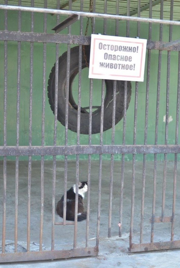 В городе всегда нужно быть начеку