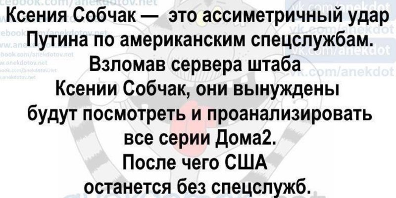 Как у соцсетей пригорает от Собчак и ее предвыборной кампании