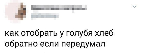 Правильно комментировать в соцсетях умеет не каждый