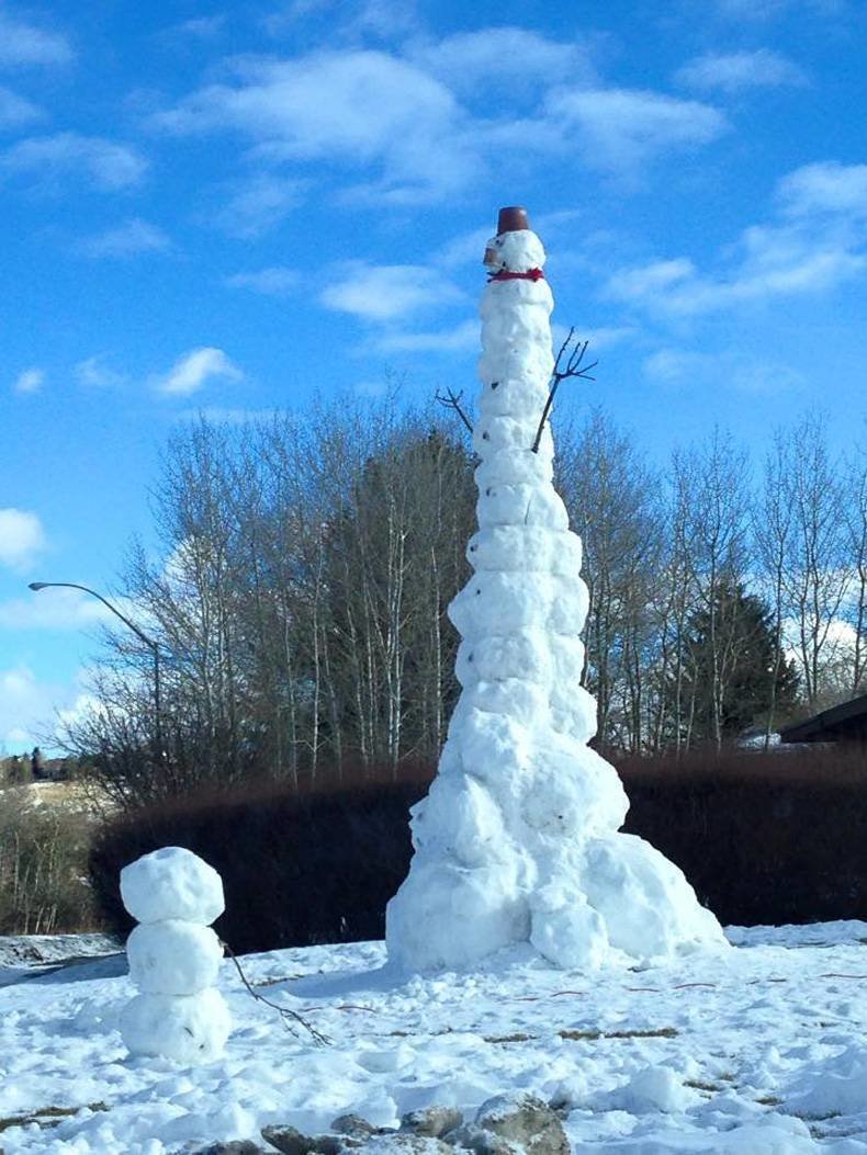 В лепке снеговика особенно приветствуется творческий подход