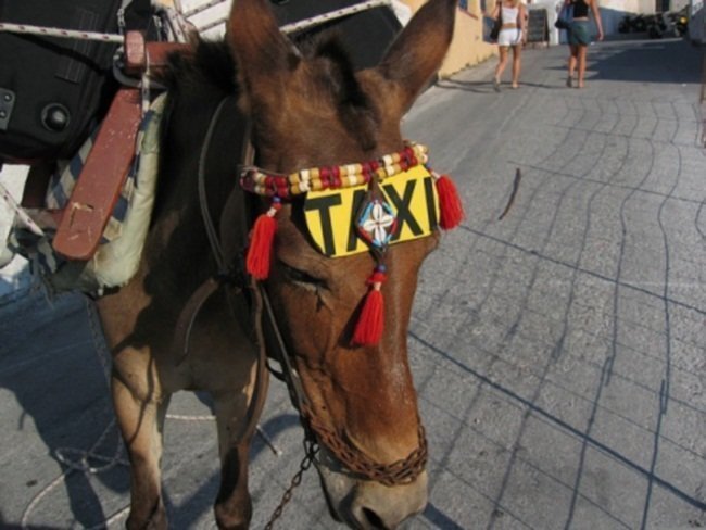 Самые необычные такси в мире