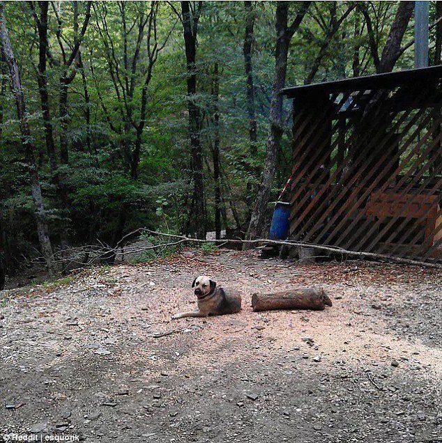 Фотоиллюзии, которые могут сломать ваш мозг