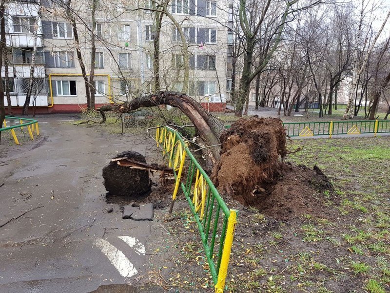Москва отходит от сильнейшего урагана, есть жертвы