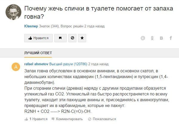 У остряков из соцсетей не бывает выходных!