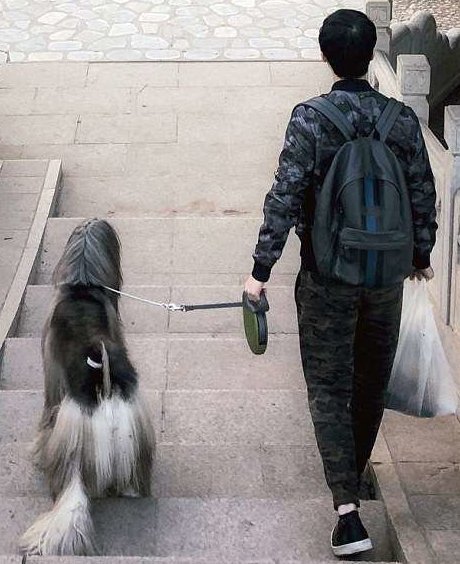Все ради шерсти любимой: китаец тратит $800 в месяц на уход за собакой