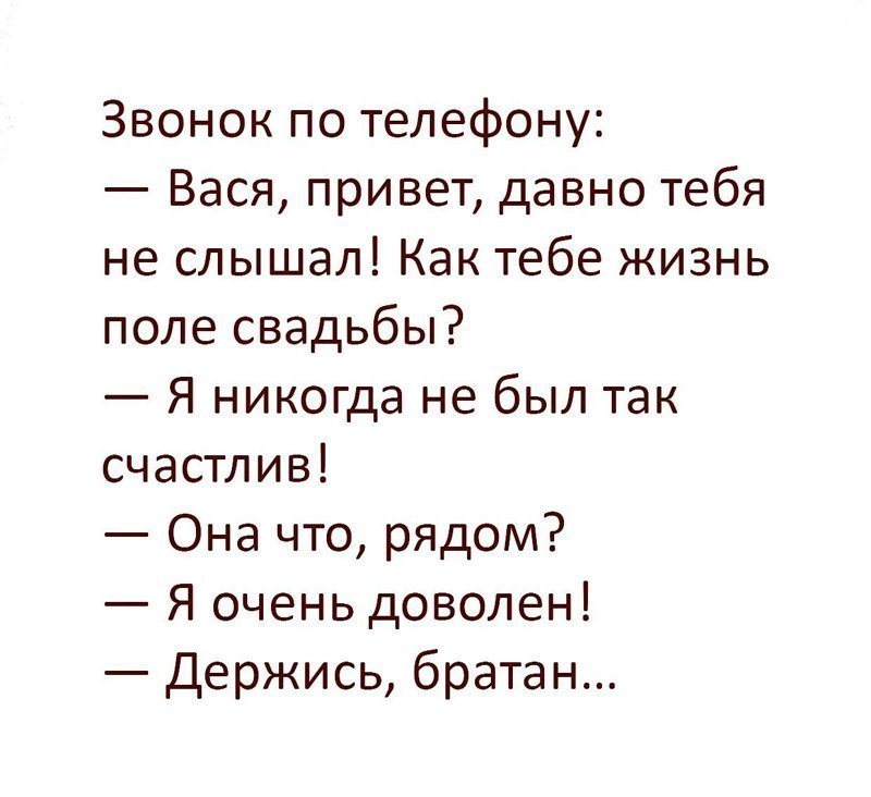 Самые смешные, глупые и циничные комментарии из соцсетей