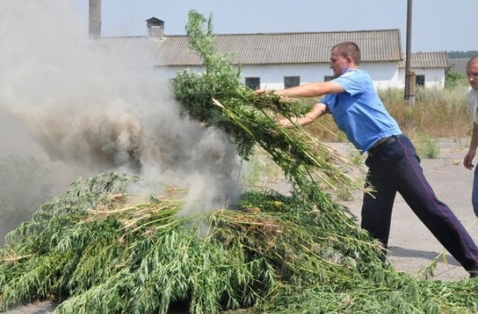 Работа должна приносить удовольствие