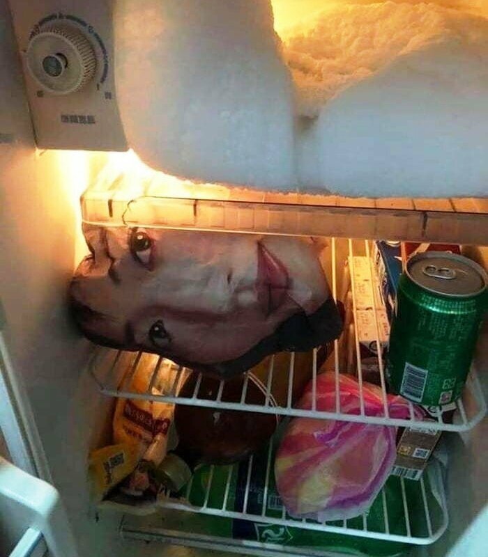 Так и помереть можно, открыв холодильник
