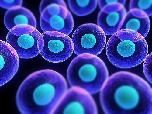 100 тыс. химических реакций происходит каждую секунду в каждой клетке нашего тела