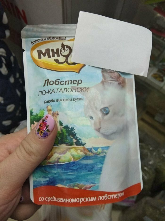 Чем еще кормить кота, как не блюдом высокой кухни?