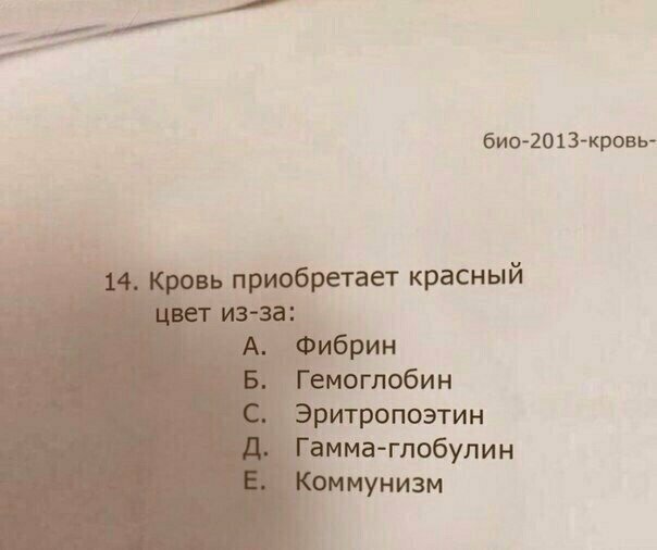 Шта?