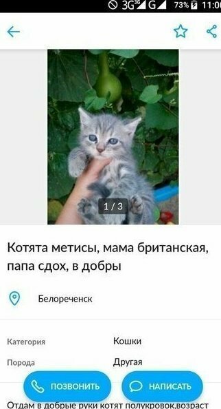 Юмористы и их объявления с Авито