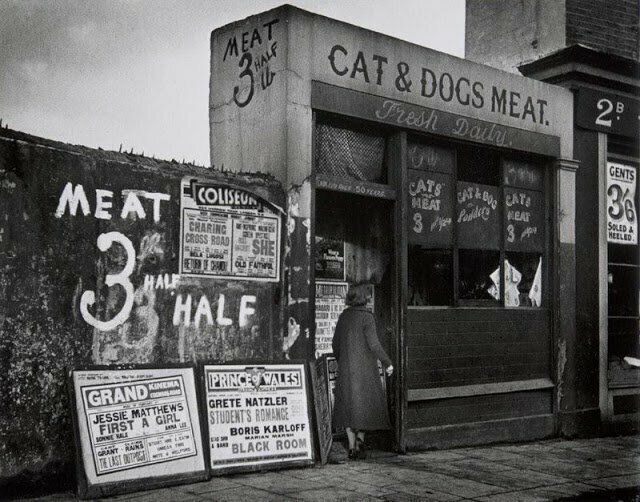 Торговцы кошачьим мясом были не такими уж плохими ребятами