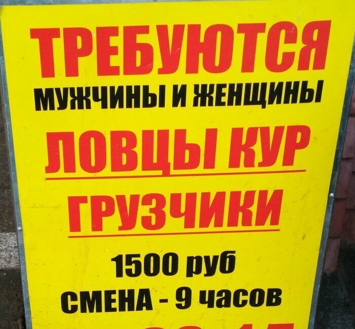 Работа мечты?