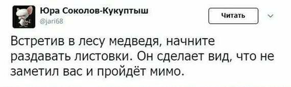 Совет для тех, кто потерялся в лесу