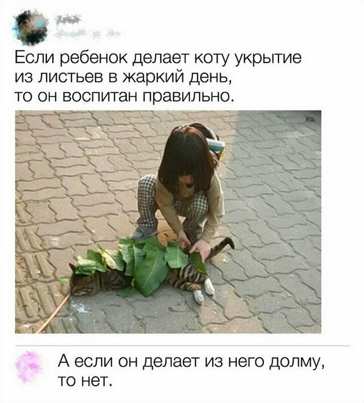 О воспитании детей