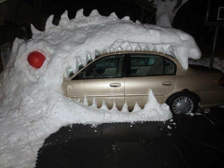 Снежный дракон