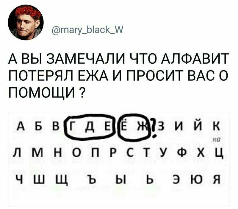 Помогите ежику!