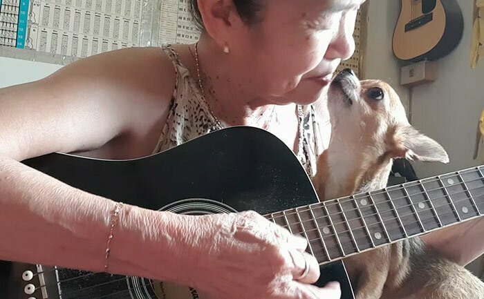 Пожилая тайская певица покоряет Youtube на пару со своим чихуахуа