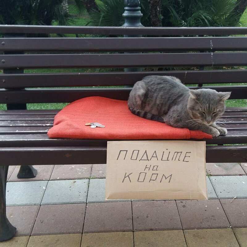 Самая милота, которая так и тянет достать и отдать все