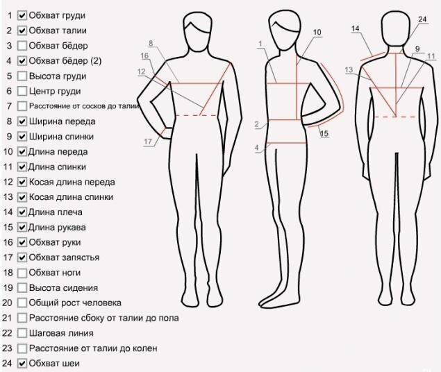 Простые, но практичные шпаргалки о человеческом теле