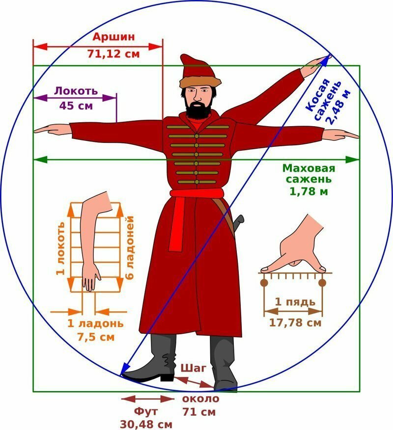 Простые, но практичные шпаргалки о человеческом теле