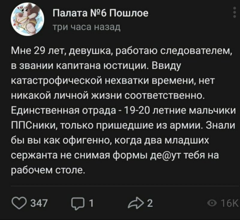 О полицейских буднях в 102 словах