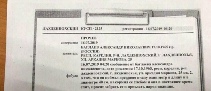 О полицейских буднях в 102 словах