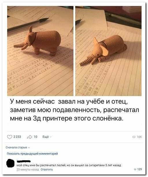 Вся правда жизни в смешных картинках