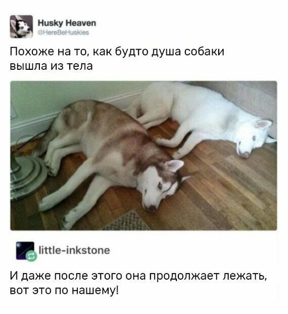 В двух словах о лени